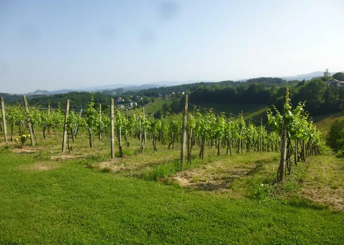 Gruendl بيت للعطل *